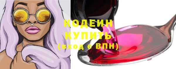 спиды Щигры