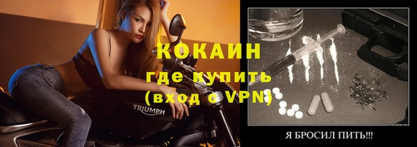 спиды Щигры