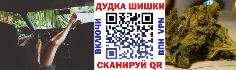 Марихуана план  наркота  Багратионовск 
